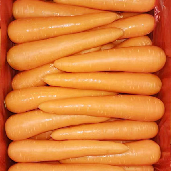 胡萝卜