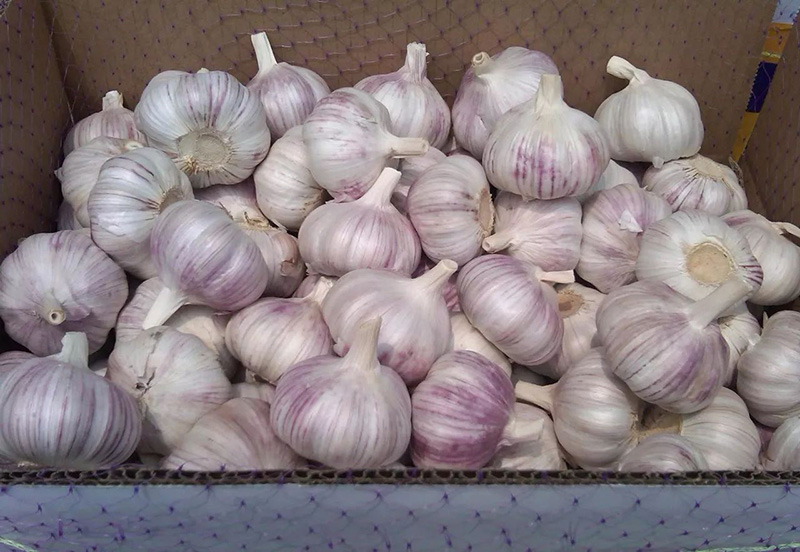 8718367adab44aedafec0af2be1c8701a18bfb02.jpg 8718367adab44aedafec0af2be1c8701a18bfb02.jpg