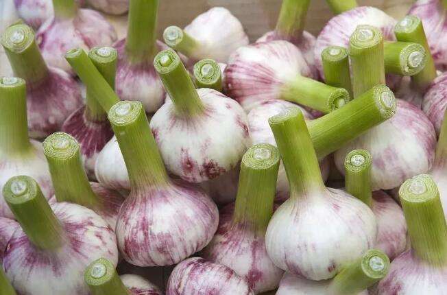 0df3d7ca7bcb0a46b50f50ef6563f6246b60af33.jpg 0df3d7ca7bcb0a46b50f50ef6563f6246b60af33.jpg